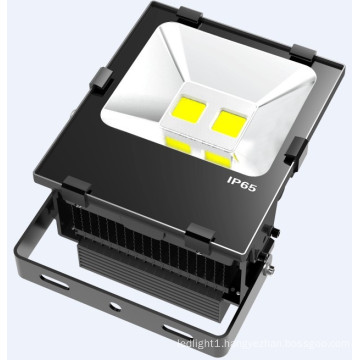 CREE+Meanwell 10W 30W 50W 100W 150W 200W LED Floodlights